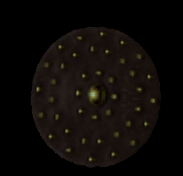 File:Studded wiki.png