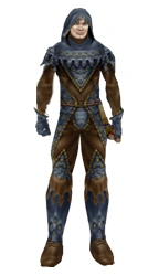 Human wearing scout leather