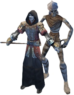 A Shade Necromancer and a summoned Wight