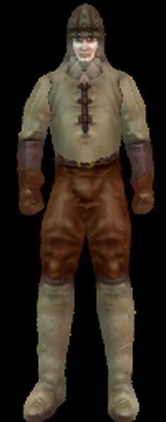 File:Softleather wiki.png