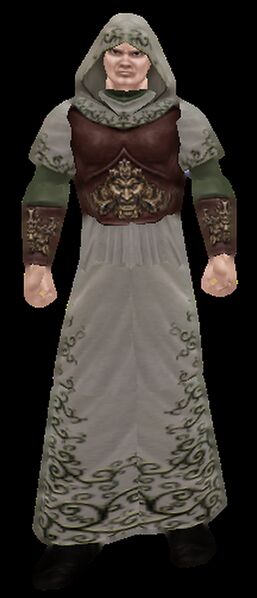 File:Graydruid wiki.png